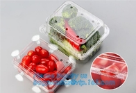 Container van het blaar de Verpakkende Voedsel, de Beschikbare Container van de Blaarfruitsalade, de Plastic doos van het blaarfruit/container/fruit