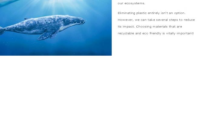 De composteerbare Posteco Vriendschappelijke Verschepende Zakken met de Vriendschappelijke Verpakkende Enveloppen van Eco levert Postzakken 3