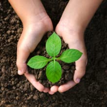 Van de de Postzak van maïszetmeeleco de Bioinstallatie gebaseerde PLA+PBAT van de de Kledingszak Waterdichte van de zelf-Verbindingseco Composteerbare Uitdrukkelijke Zak 3