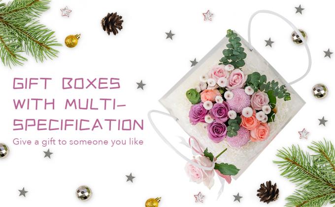 Kerstmisdag, verjaardagspartij, picknick, handvat, bloemzak