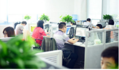 250ml 500ml 1000ml van de het HUISDIERENopslag van de 1 Litergallon Plastic de Containerhdpe Chemische de Kruikenfles van de Gebruiksf Stijl 1