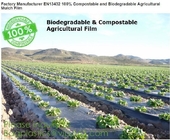 Composteerbare en biologisch afbreekbare Landbouw de Mulsfilm van de fabrieksfabrikant EN13432 100%, de filmpa van de zetmeelinstallatie gebaseerde omslag