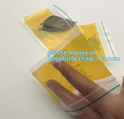 Zak van Zip lockkk van de fabrieksgepaste kleur de kleine rode/roze/groene/gele/blauwe resealable voor decoratie, bagplastics, bageas