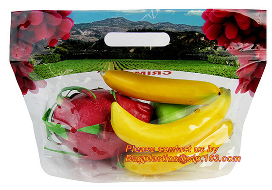 de zak van het de perenpakket van de vers fruitkers met ademhalingsgat, Fruitdruif Cherry Vegetable Packing Protection Bag, Ritssluiting Fru