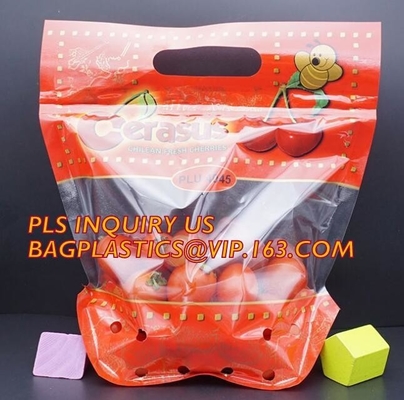 Vruchten die zak/Druiven plastic zak met Zip lockkk, van het het Pithandvat van Luchtgaten de Plastic Zakken, zak met openingsgaten verpakken voor Druif a
