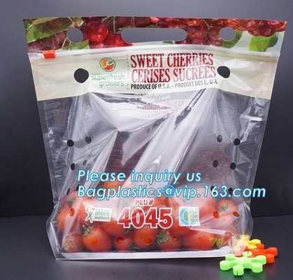 geluchte Gedrukte Verpakkende de zak van Fruitcoex, de Gaten, vruchten en cheeries verpakking van Zip lockkk Cherry Tomato Packaging Bags With