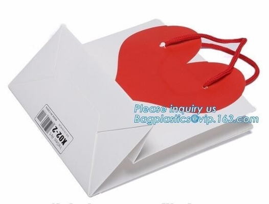 de hete verkoop Goedkope Douane drukte van de de Dragerkabel van de Luxe Witte Gift het Handvatdocument het Winkelen Zak met Embleem, het Winkelen Zak met Embleem