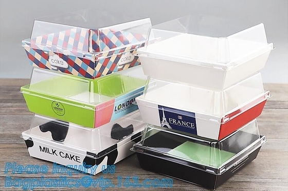 Plastic in het groot de lunchdoos van de voedselcontainer meeneem, de doos van de de doossalade van Susi van de HUISDIEREN Plastic container, dienbladen van het sushi de dienende voedsel sus