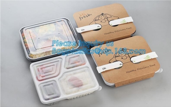 650ml het hete verkopende beschikbare plastic de snackvoedsel van pp boxfood sorteert het beschikbare plastic dienblad van de de dooscontainer van voedselsushi packag