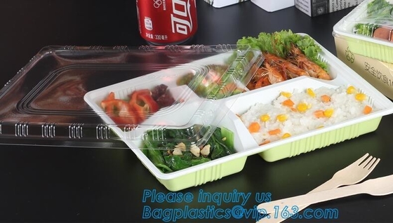 Beschikbare plastic het voedselcontainer 3 van pp compartimentencontainers/prep containers van de van de bentodoos/maaltijd, het vierkant van voedselcontainers