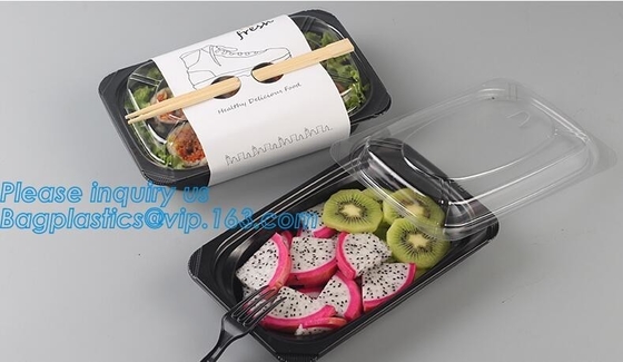 Plastic de lunchdoos 2 van de voedselcontainer compartiment, de dooscontainer van de bentolunch, het Luchtdichte snelle voedsel van de Microgolf Veilige kernachtigere doos