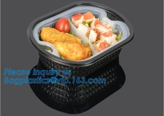 Van de de Lunchdoos van het fabrieks houdt de Directe Deksel Plastic Duidelijke het Voedselcontainer, Verse Kernachtigere Voedseldoos, Verse Boxpp die beschikbaar c verpakken