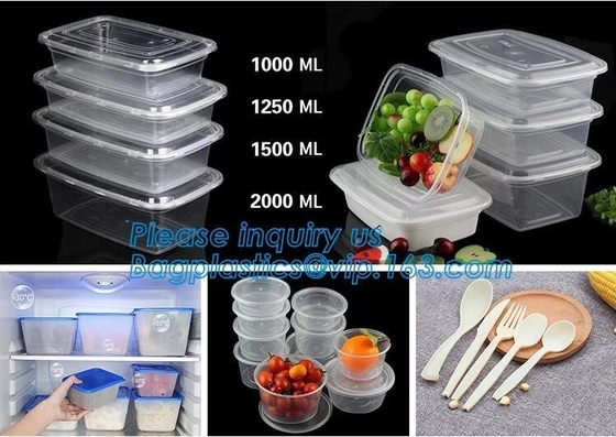 De transparante plastic vers-houdt container van de voedselopslag, de plastic doos van de voedsellunch, voedsel van de doos het Perfecte Gedeelten van Voedselgedeelten
