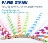 Biologisch afbreekbare Document die van het Eco het Vriendschappelijke Beschikbare Vaatwerk Straw Paper Straw Bendy drinken