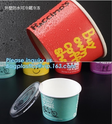 de winkeldocument van het de zomerroomijs de roomijskop/container, 7 oz-Roomijsdocument kop maakte in China, de Biologisch afbreekbare Pap van het Koppenroomijs