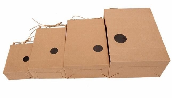kraftpapier-de zak van de rijstverpakking, de rijstzakken van het Douaneembleem staat kleurrijke het document van drukkraftpapier vacuüm biologisch afbreekbare voedsel verpakking op
