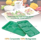de druk van het de douaneembleem van snel voedseldozen, Composteerbare plastic voedselcontainer, eco-product vernieuwbare 100% composteerbare PLA foo