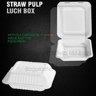 de containers van de lunchdoos voor restaurant, PLA-Lunchdoos met Deksel voor Jonge geitjes, de Materiële Gezonde Plastic Lunch Bento Box van PLA