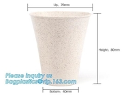 De Koffie van Juice Cup 100% Milieuvriendelijke Biologisch afbreekbare Composteerbare PLA van de douane Beschikbare Duidelijke Koude Drank Plastic het Drinken Kop
