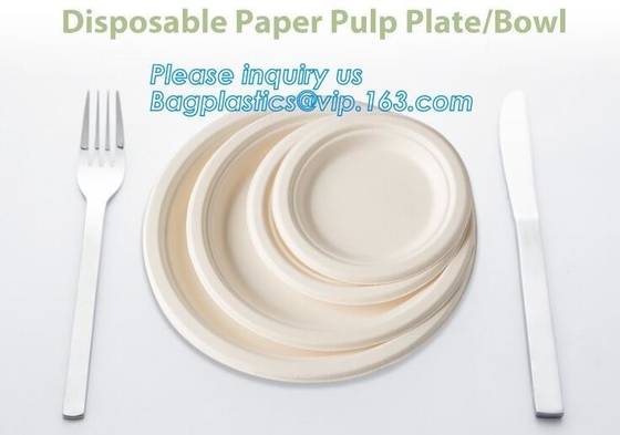 Het Suikerrietbagasse 10 het“ Ronde Diner Diepe Thali van de papierpulp van het Platendessert