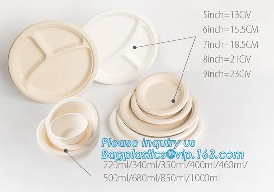 Het Suikerrietbagasse 10 het“ Ronde Diner Diepe Thali van de papierpulp van het Platendessert