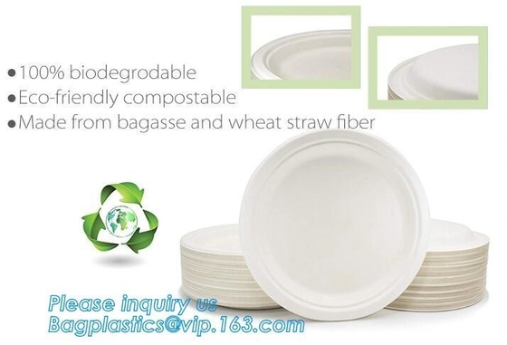 Het Suikerrietbagasse 10 het“ Ronde Diner Diepe Thali van de papierpulp van het Platendessert