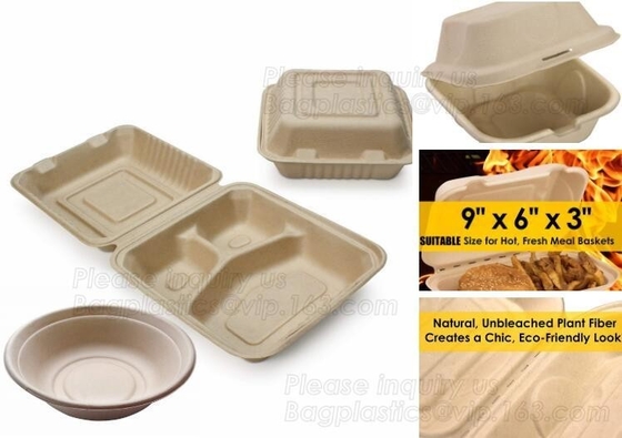 Van het het VaatwerkMaïszetmeel van EN13432 Eco Vriendschappelijke Beschikbare de Lunchcontainer