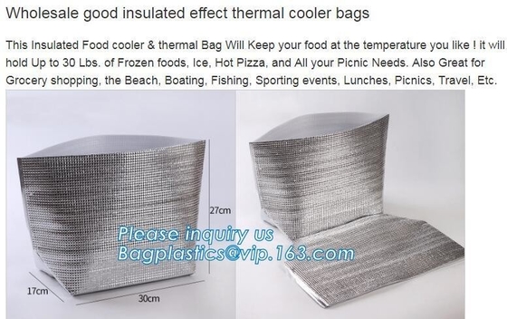 De opnieuw te gebruiken van de de thermische isolatie materiële koelere zak van de aluminiumfolie van de foPromotional420d Polyester van de de Isolatiepicknick Koelere Zak