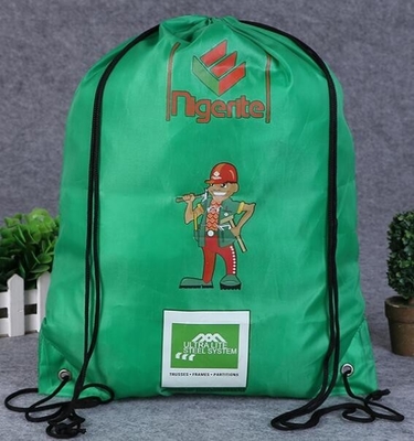 De promotie Standaard van de Polyestervissen van Grootte Draagbare Opnieuw te gebruiken Eco Vriendschappelijke Vouwbare Vorm Winkelend Tote Bags With Handle