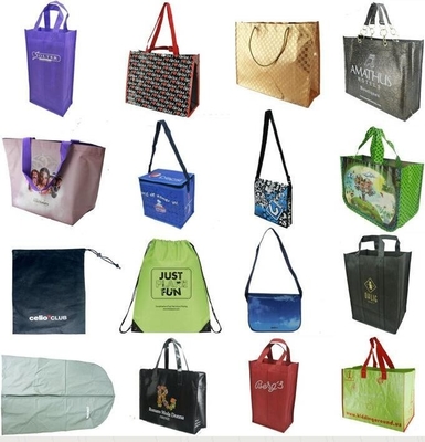 De promotie Standaard van de Polyestervissen van Grootte Draagbare Opnieuw te gebruiken Eco Vriendschappelijke Vouwbare Vorm Winkelend Tote Bags With Handle