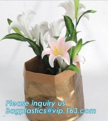 Boodschapperszakken, kaarthouders, omslagen, handtas, rugzak, plaatsmat, muntstukbeurs, portefeuille, kosmetische zak BAGEASE BAGPLASTICS