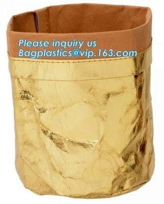 Tyvekzak/Tyvek-Manchetdocument/Tyvek-Document Handtassen, van de tyvekzak van Eco vriendschappelijke Dupont wasbare bagease van de het handvatzak van Tyvek