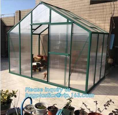 Netto Tuintomaat die Groene Huis planten van het Serre het Openluchtbalkon Tuinbouw