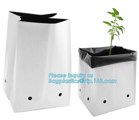 LDPE de planterszakken van de Polyethyleen kweken de plastic tuin voor groente, boom en bloemzaailing, Plastic LDPE van het 15 GALLONgat B