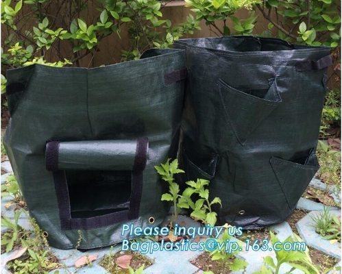 100 /200/300 gallontan de boom kweekt zak 100gallon kweekt zak voor installatiebomen, kweken de groenten zakken het planten in zakken doet het groeien zakken