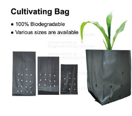 Efficiënte UV Gestabiliseerde Zwarte Witte Plastic het Groeien Zak/de Planterszak van de Polyethyleen Jumboboom, Polyzaailingszak 5 gallon