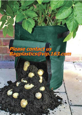 de aardappelplanter met de planter van de 7/10 gallonaardappel, aardappel kweekt potten met handvattenklep voor het gemakkelijke havesting, en drainagegaten