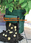 de aardappelplanter met de planter van de 7/10 gallonaardappel, aardappel kweekt potten met handvattenklep voor het gemakkelijke havesting, en drainagegaten
