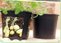 Hoog - de kwaliteitspp aardappel kweekt pot plantend zak, Bloem van de het Kinderdagverblijfinstallatie van de Gallontuin kweekt de Plastic Pot voor Installaties, Zwarte Indoo