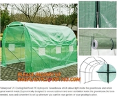 Binnen 5 ' Hydroponic X5 kweken Tentuitrustingen Mylar kweken Tent 600D het Tuinieren