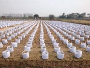 Kweekt het gallon Plastic Kinderdagverblijf Zak het Groeien de Tuin van Zaailingsginger potato planting pots home