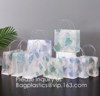 De zakken van de giftverpakking, pp-handvat, pvc-handvat, dragen zak, Biologisch afbreekbare het Winkelen Zakkenhandvatten/Aangepaste Suikergoed Handige Zak