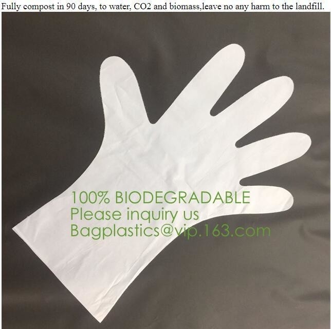Biologisch afbreekbare en composteerbare PLA-handschoenen, OEM goedkope biologisch afbreekbare keuken beschikbare handschoenen met het O.K. compost h van EN13432 BPI
