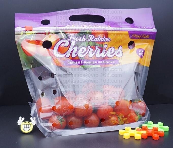 fruit verpakkende zak voor aardbei/kers/bosbes, de gedrukte van de het voedselrang van de ritssluitingsaardbei verpakkende zak met ritssluiting, Rec
