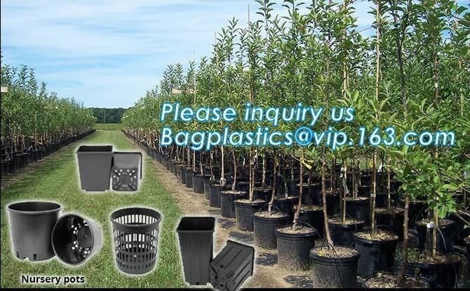 Snelle de lucht van het de Groei plastic kinderdagverblijf het snoeien pot voor installatieboom en bloem, de binnenpot van de kinderdagverblijf mini plastic bloem, het tuinieren