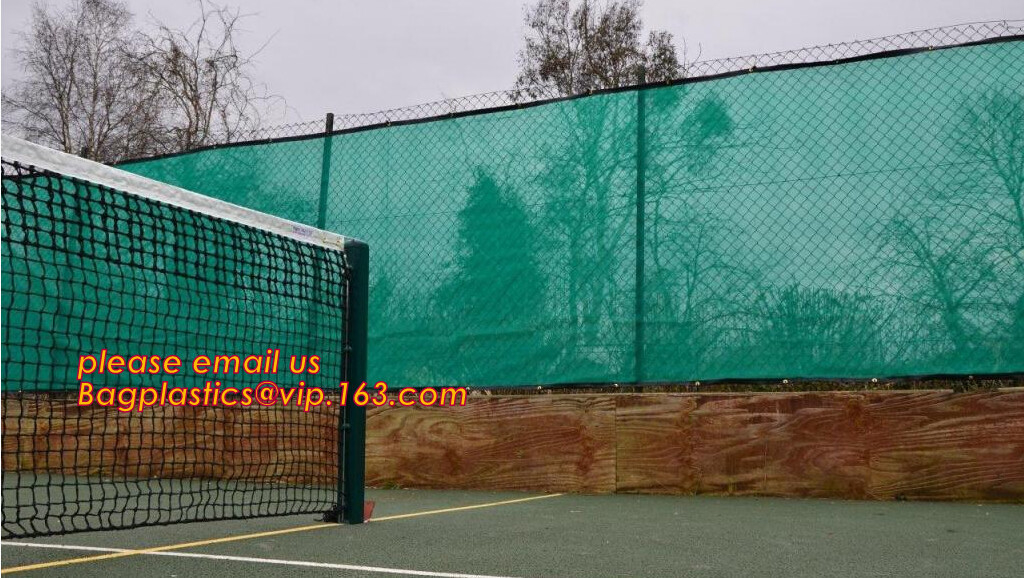 Groen Bouw de Veiligheidsnet /Safety Mesh Netting, netto bouwsteiger/netto steiger/scaffo van de de Bouwsteiger
